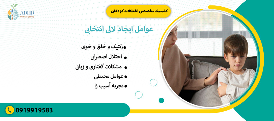 عوامل ایجاد لالی انتخابی